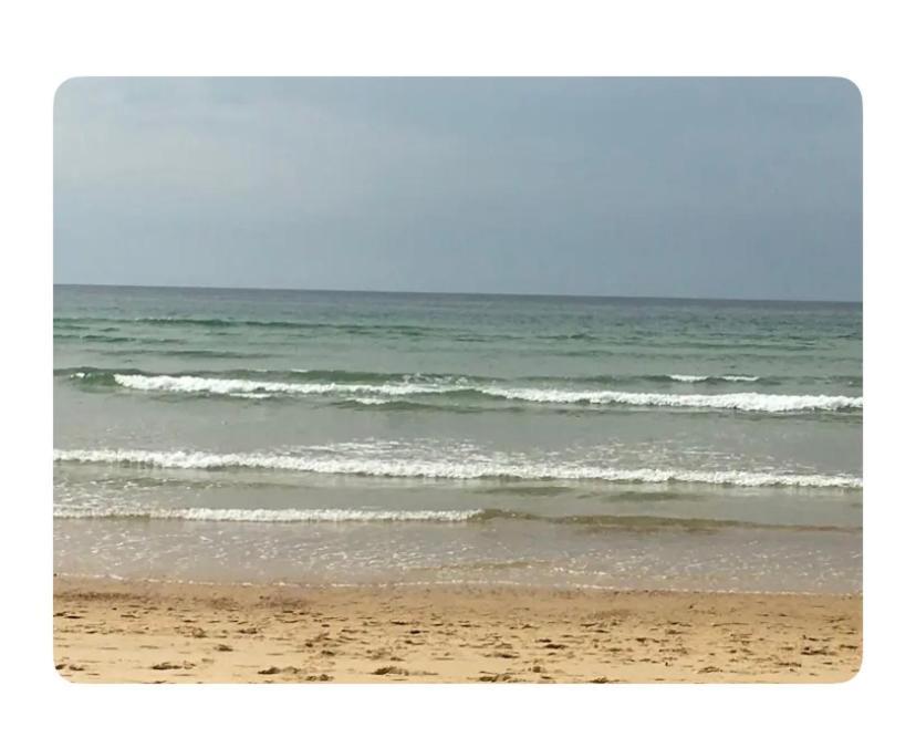 Studio A Linxe Entre Terre Et Ocean المظهر الخارجي الصورة